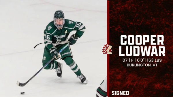 Chiefs Add Cooper Ludwar to the Roster